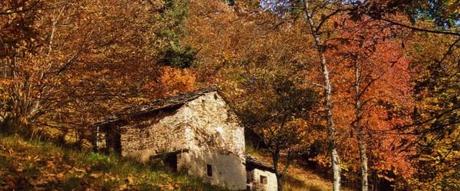 L’ambiente negli appuntamenti green settimanali!