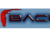 Bacula programma client/server backup rete.