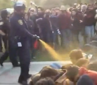 Shame on you, Obama: la polizia americana e gli spray urticanti contro gli studenti di Occupy Wall Street