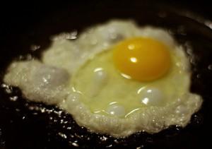 Elezioni spagnole 2011:¿dalla padella alla brace?