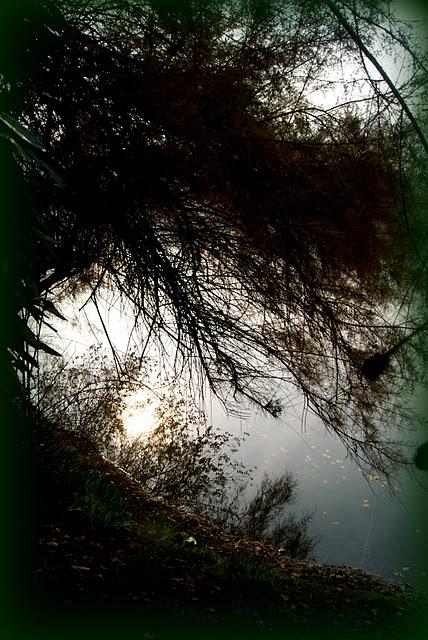 SHABBY CHIC EXTERIORS DESIGN: LA TENACIA DI JO