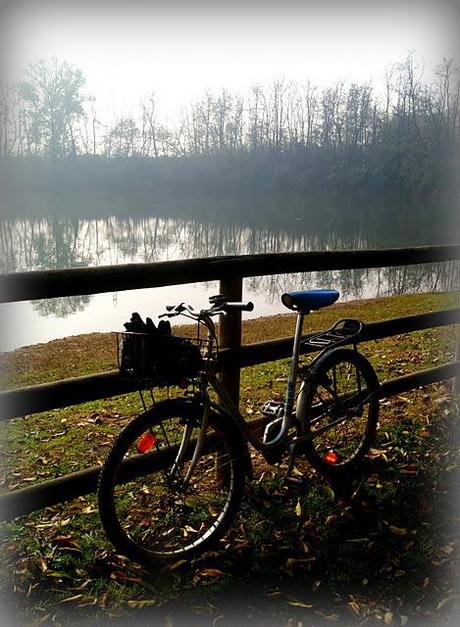 SHABBY CHIC EXTERIORS DESIGN: LA TENACIA DI JO