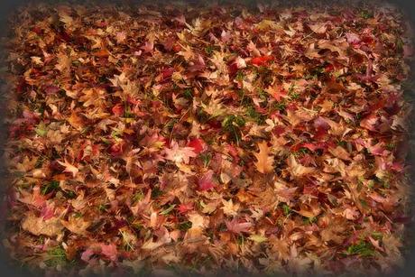 SHABBY CHIC EXTERIORS DESIGN: LA TENACIA DI JO