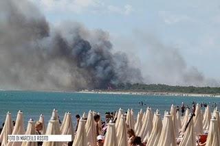 Una decina gli ettari di pineta distrutti dalle fiamme a Scanzano