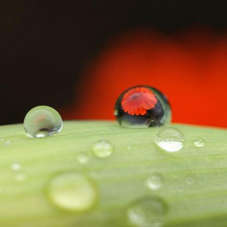 Riflessioni a margine di un bicchiere d’acqua