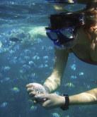 Snorkeling nelle Yasawa