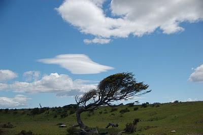 Patagonia tragica e ribelle