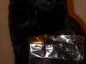 need… livello alto