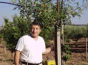 Solanum torvum, un’altra (ottima) esperienza lettore