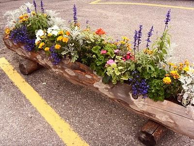 AIUTO!!! HO BISOGNO DI FIORI, TANTISSIMI FIORI!!!