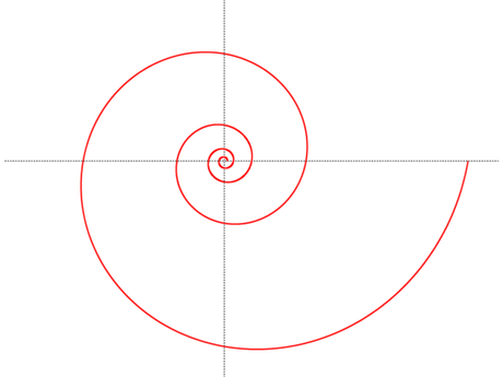 Della spirale: matematica, natura, arte (e bijoux)