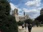 La Robinia pseudoacacia di square viviani a Parigi 8