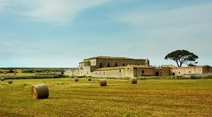 SOS Agricoltura: il 57% degli intervistati vuole cambiare mettendosi insieme con altri operatori.