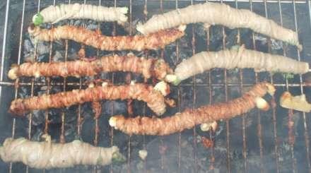 Stigghiole e Libertà