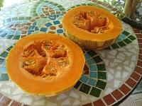 Gamberi alla crema di zucca e zafferano