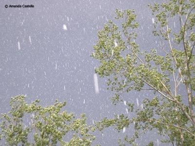 Il clima bolle, Cancun è già in cammino. Si può ancora salvare il pianeta?