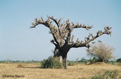 Un clima sano per i nostri figli domani? La mozione anti Kyoto dei senatori del PDL rimanda l’Italia in coda dei paesi evoluti