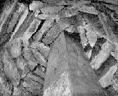 La scoperta della tomba etrusca della Montagnola