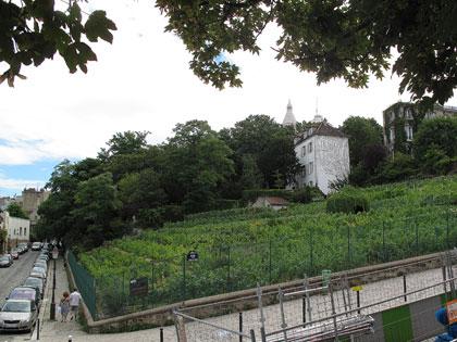 Cartoline da Parigi, la vigna di Montmartre