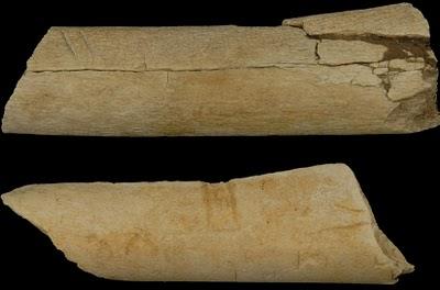 Retrodatato di 800.000 anni utilizzo dei primi strumenti di pietra