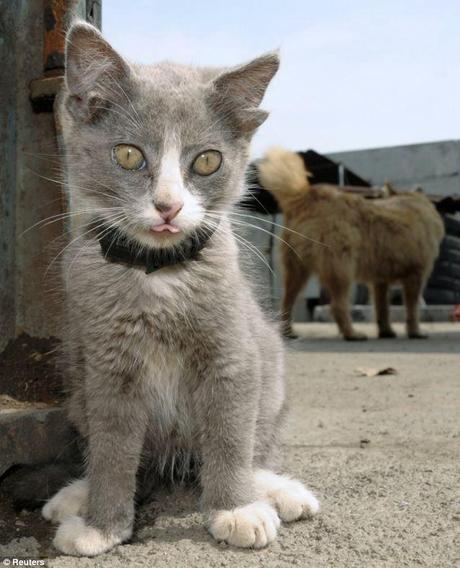 Raspberry: Luntik gives his reply to anyone who says he looks a bit odd.