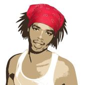 Antoine Dodson & The Gregory Brothers – Bed Intruder Song