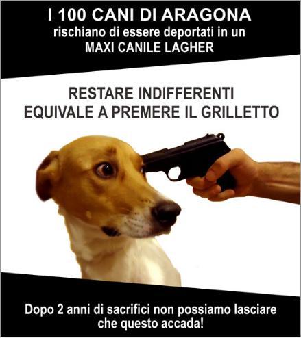 Restare indifferenti equivale a premere il grilletto