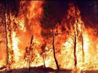 Etna Gardening aderisce alla campagna antincendio 2010