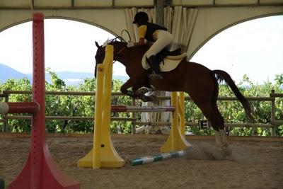 concorso ippico a Riotorto