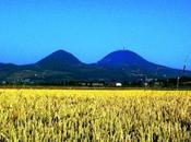 Settembre 2010, pomeriggi Colli Euganei, escursioni guidate Comune Montegrotto Terme