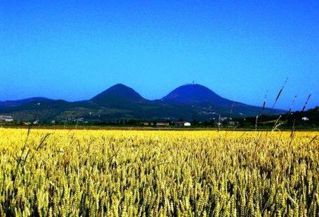 Settembre 2010, pomeriggi sui Colli Euganei, tre escursioni guidate dal Comune di Montegrotto Terme