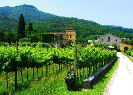 Settembre 2010, pomeriggi sui Colli Euganei, tre escursioni guidate dal Comune di Montegrotto Terme