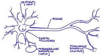 SULLA 'PLASTICITÀ NEURONALE' E LA MEDITAZIONE.