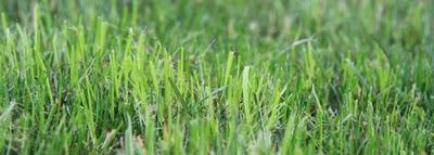 ma che siamo a maggio?