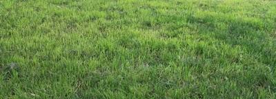 ma che siamo a maggio?