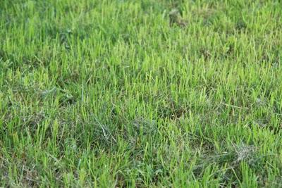 ma che siamo a maggio?