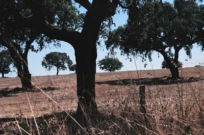 Visto da Marieke: Portugal