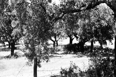 Visto da Marieke: Portugal