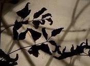 Stralci d'Ispirazione Notturno finale