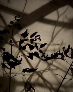 Stralci d'Ispirazione - 7 - Notturno finale