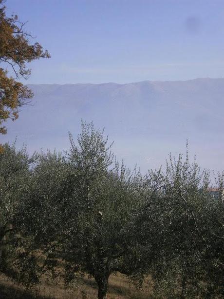 BAGLIORI D'AUTORE, MONTEFALCO IN COMPAGNIA DI HERMANN HESSE