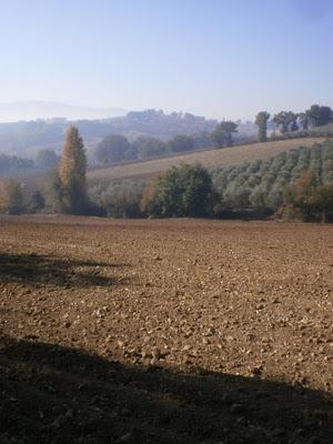 BAGLIORI D'AUTORE, MONTEFALCO IN COMPAGNIA DI HERMANN HESSE