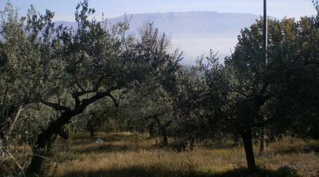 BAGLIORI D'AUTORE, MONTEFALCO IN COMPAGNIA DI HERMANN HESSE