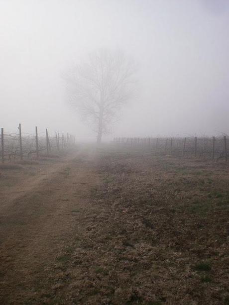 BAGLIORI D'AUTORE, MONTEFALCO IN COMPAGNIA DI HERMANN HESSE