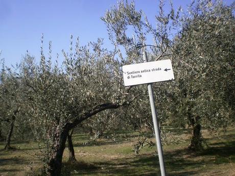 BAGLIORI D'AUTORE, MONTEFALCO IN COMPAGNIA DI HERMANN HESSE