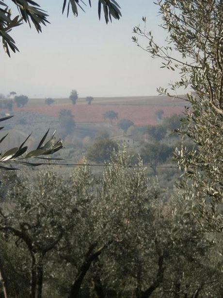 BAGLIORI D'AUTORE, MONTEFALCO IN COMPAGNIA DI HERMANN HESSE