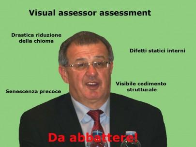 Visual assessor assessment