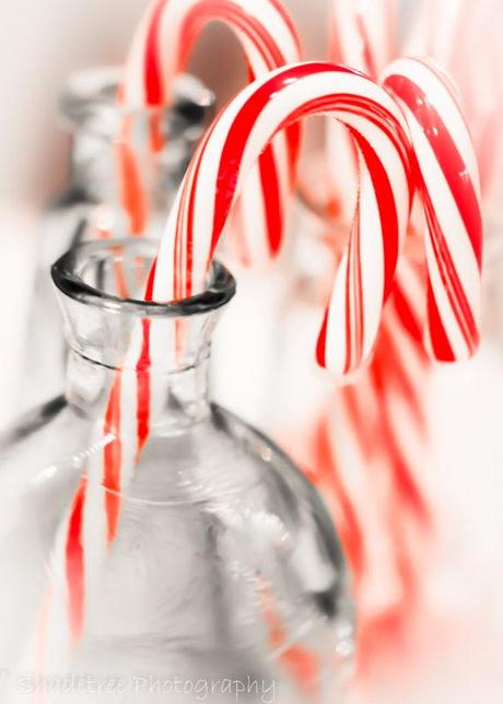 From house to home...