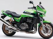 Kawasaki 1200 DAEG 2012