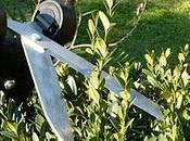 Prodotti prova Cesoia Erba Siepi PowerLever™ della Fiskars